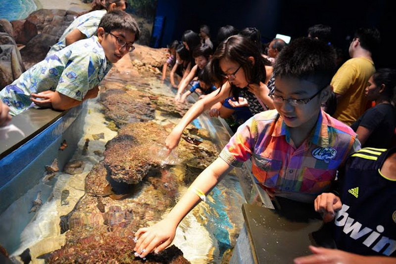 Singapore, Marine Life Park